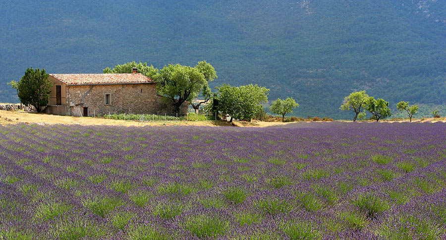 France